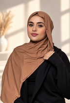 Cinnamon Bamboo Jersey  Set